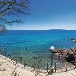 Mia Daire *
